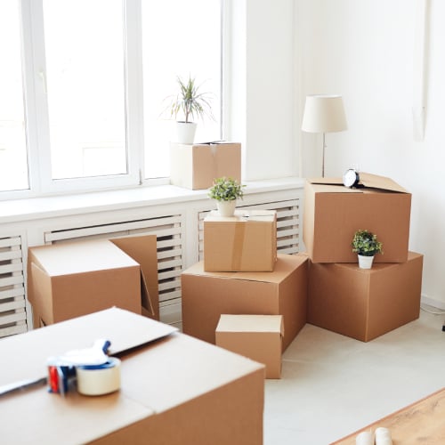Move Out Cleaning